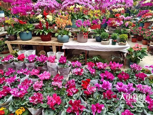 翡翠兰花的寓意,兰花翡翠价格-第2张图片-翡翠网