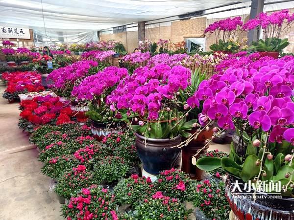 翡翠兰花的寓意,兰花翡翠价格-第3张图片-翡翠网