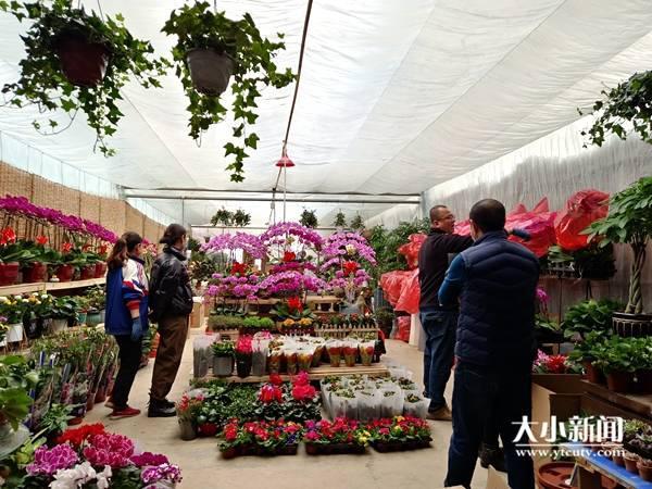 翡翠兰花的寓意,兰花翡翠价格-第6张图片-翡翠网