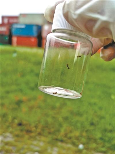 翡翠知识(第二课)百度文库翡翠原石技巧-第2张图片-翡翠网