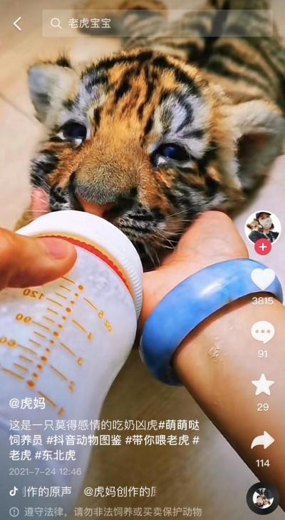 奶豆抖音短视频app下ios,奶豆抖音短视频app下载安装-第2张图片-翡翠网 奶豆抖音短视频app下ios,奶豆抖音短视频app下载安装-第2张图片-翡翠网