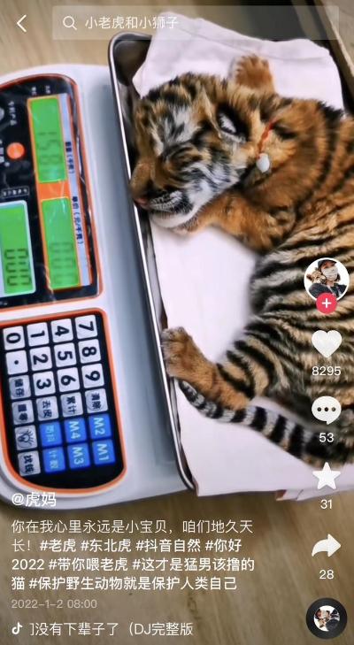 奶豆抖音短视频app下ios,奶豆抖音短视频app下载安装-第4张图片-翡翠网 奶豆抖音短视频app下ios,奶豆抖音短视频app下载安装-第4张图片-翡翠网