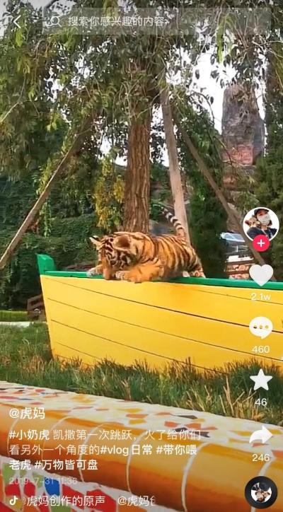 奶豆抖音短视频app下ios,奶豆抖音短视频app下载安装-第5张图片-翡翠网 奶豆抖音短视频app下ios,奶豆抖音短视频app下载安装-第5张图片-翡翠网