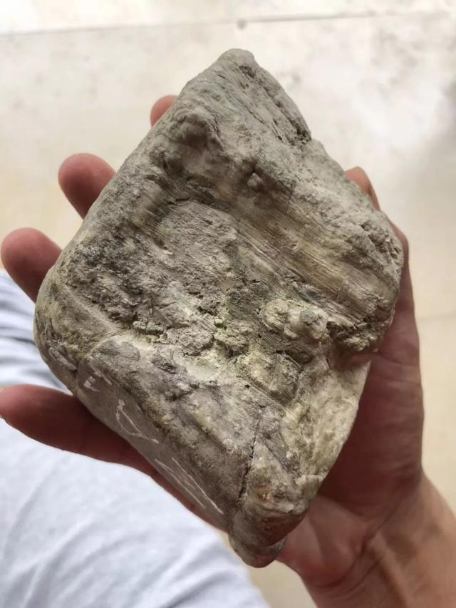 甘肃高冰翡翠原石冰种的翡翠原石-第1张图片-翡翠网 甘肃高冰翡翠原石冰种的翡翠原石-第1张图片-翡翠网