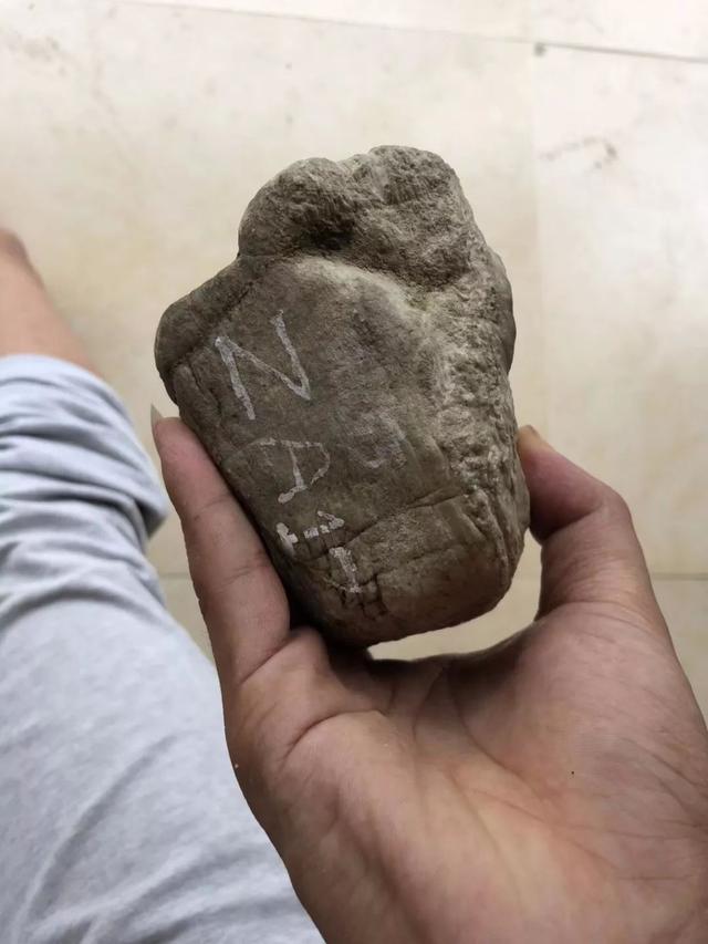 甘肃高冰翡翠原石冰种的翡翠原石-第2张图片-翡翠网 甘肃高冰翡翠原石冰种的翡翠原石-第2张图片-翡翠网