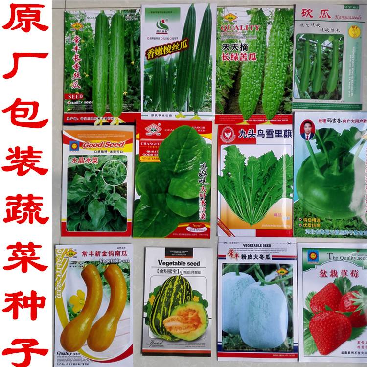 抖音樱桃丝瓜绿巨人黄瓜,绿巨人樱桃草莓黄瓜-第2张图片-翡翠网 抖音樱桃丝瓜绿巨人黄瓜,绿巨人樱桃草莓黄瓜-第2张图片-翡翠网