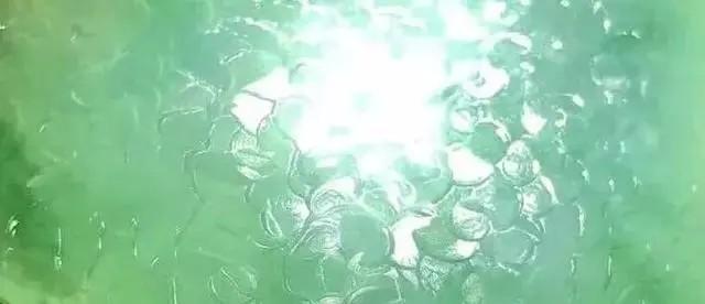 一万以下的摩托车推荐一万以下的翡翠原石-第5张图片-翡翠网 一万以下的摩托车推荐一万以下的翡翠原石-第5张图片-翡翠网