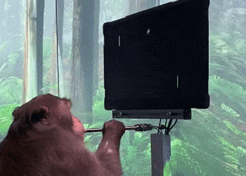 雒芊芊翡翠知识翡翠专业知识讲解-第2张图片-翡翠网 雒芊芊翡翠知识翡翠专业知识讲解-第2张图片-翡翠网