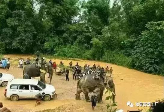 海象翡翠知识体系,翡翠的专业知识大全-第2张图片-翡翠网 海象翡翠知识体系,翡翠的专业知识大全-第2张图片-翡翠网