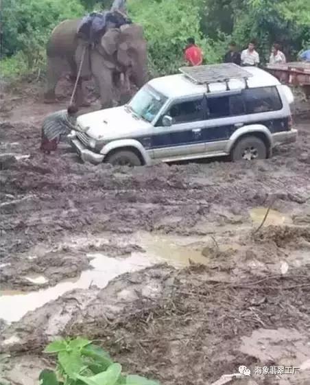 海象翡翠知识体系,翡翠的专业知识大全-第9张图片-翡翠网 海象翡翠知识体系,翡翠的专业知识大全-第9张图片-翡翠网