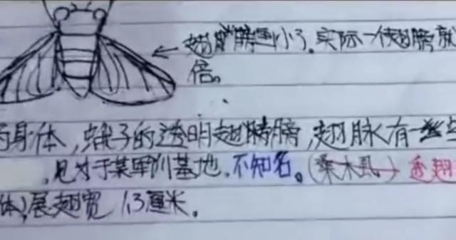 抖音1118虫子是什么梗,抖音虫子是什么梗-第1张图片-翡翠网 抖音1118虫子是什么梗,抖音虫子是什么梗-第1张图片-翡翠网