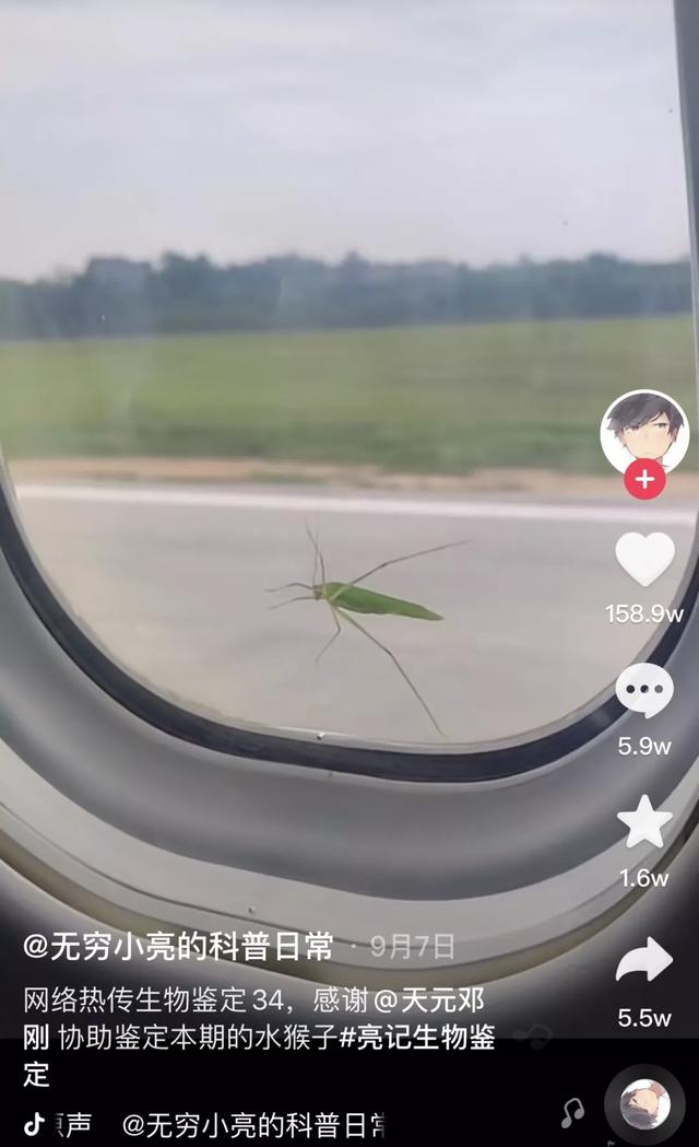 抖音1118虫子是什么梗,抖音虫子是什么梗-第5张图片-翡翠网 抖音1118虫子是什么梗,抖音虫子是什么梗-第5张图片-翡翠网