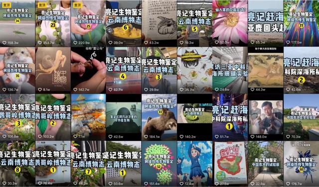 抖音1118虫子是什么梗,抖音虫子是什么梗-第8张图片-翡翠网 抖音1118虫子是什么梗,抖音虫子是什么梗-第8张图片-翡翠网