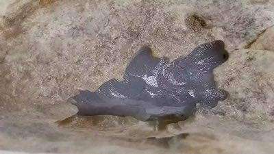 纳莫翡翠原石,冰种翡翠原石-第1张图片-翡翠网 纳莫翡翠原石,冰种翡翠原石-第1张图片-翡翠网