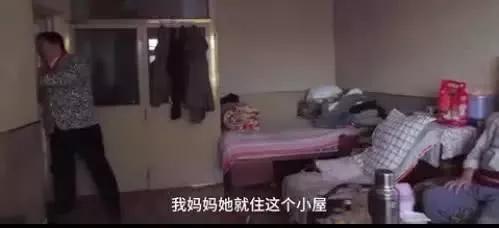 知识春晚翡翠项链赌石300块钱赌出5亿-第6张图片-翡翠网 知识春晚翡翠项链赌石300块钱赌出5亿-第6张图片-翡翠网