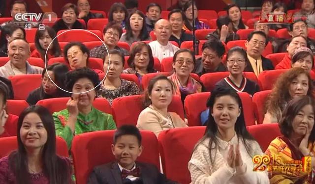 知识春晚翡翠项链赌石300块钱赌出5亿-第13张图片-翡翠网 知识春晚翡翠项链赌石300块钱赌出5亿-第13张图片-翡翠网