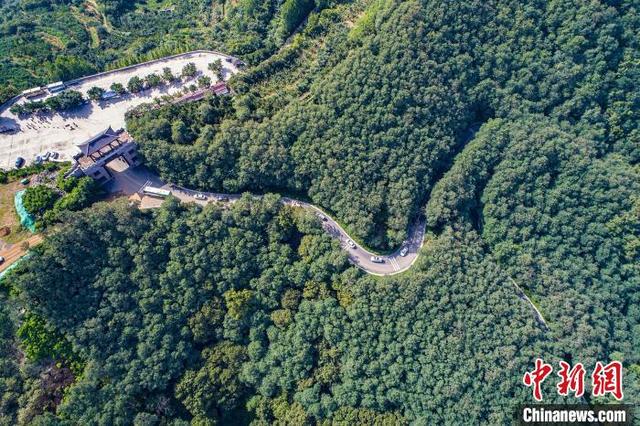 怎么判断翡翠内裂翡翠原石毛细裂进的深吗-第1张图片-翡翠网 怎么判断翡翠内裂翡翠原石毛细裂进的深吗-第1张图片-翡翠网