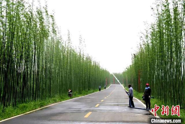 怎么判断翡翠内裂翡翠原石毛细裂进的深吗-第3张图片-翡翠网 怎么判断翡翠内裂翡翠原石毛细裂进的深吗-第3张图片-翡翠网