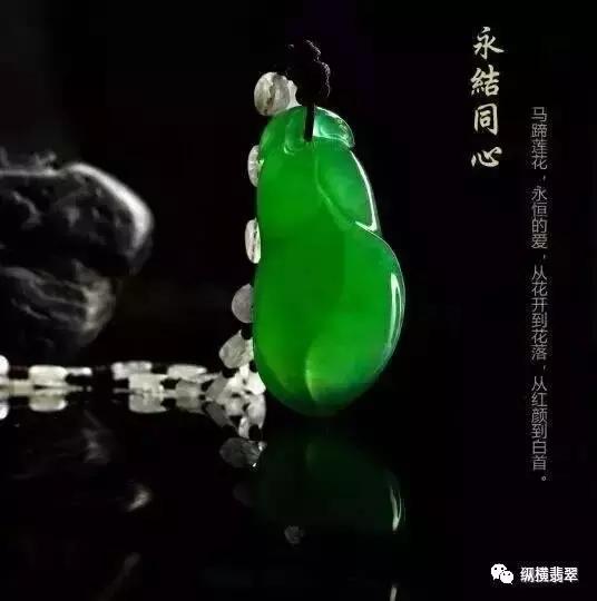 翡翠玉知识分享,满钻石项链品牌-第21张图片-翡翠网 翡翠玉知识分享,满钻石项链品牌-第21张图片-翡翠网