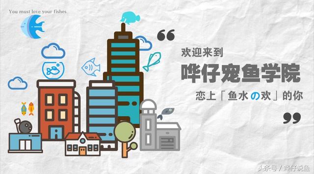 翡翠原石丢鱼缸里翡翠原石长期泡水-第1张图片-翡翠网 翡翠原石丢鱼缸里翡翠原石长期泡水-第1张图片-翡翠网