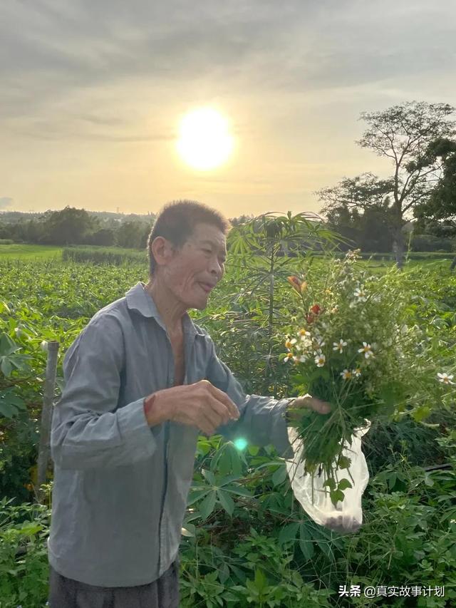 林楚楚宁深抖音小说,爱上闺蜜的小叔抖音-第13张图片-翡翠网 林楚楚宁深抖音小说,爱上闺蜜的小叔抖音-第13张图片-翡翠网