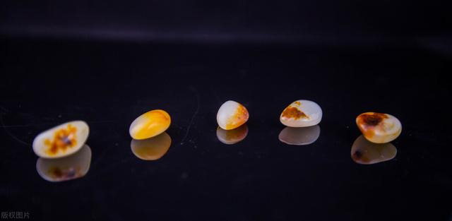 玉跟翡翠的区别在哪里,翡翠和玉石成分是什么-第1张图片-翡翠网 玉跟翡翠的区别在哪里,翡翠和玉石成分是什么-第1张图片-翡翠网