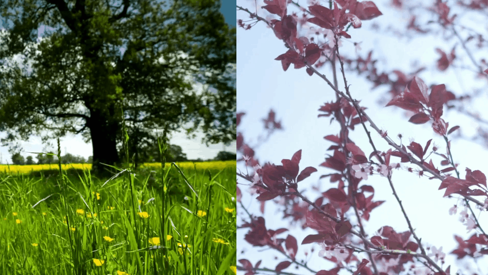 国际抖音版黄app下载抖音视频-第9张图片-翡翠网 国际抖音版黄app下载抖音视频-第9张图片-翡翠网