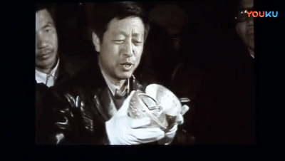 哪里是小野女士的家小野家翡翠知识-第33张图片-翡翠网 哪里是小野女士的家小野家翡翠知识-第33张图片-翡翠网