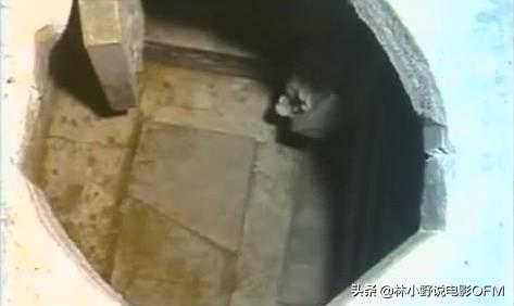 哪里是小野女士的家小野家翡翠知识-第67张图片-翡翠网 哪里是小野女士的家小野家翡翠知识-第67张图片-翡翠网