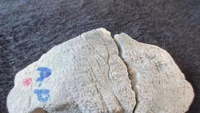 关于有蜻蜓翅的翡翠原石的信息-第3张图片-翡翠网 关于有蜻蜓翅的翡翠原石的信息-第3张图片-翡翠网