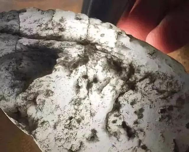 关于有蜻蜓翅的翡翠原石的信息-第6张图片-翡翠网 关于有蜻蜓翅的翡翠原石的信息-第6张图片-翡翠网