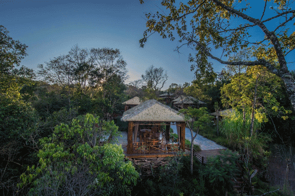 翡翠原石梅子的简单介绍-第1张图片-翡翠网 翡翠原石梅子的简单介绍-第1张图片-翡翠网