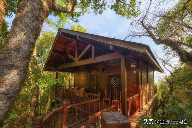 翡翠原石梅子的简单介绍-第5张图片-翡翠网 翡翠原石梅子的简单介绍-第5张图片-翡翠网