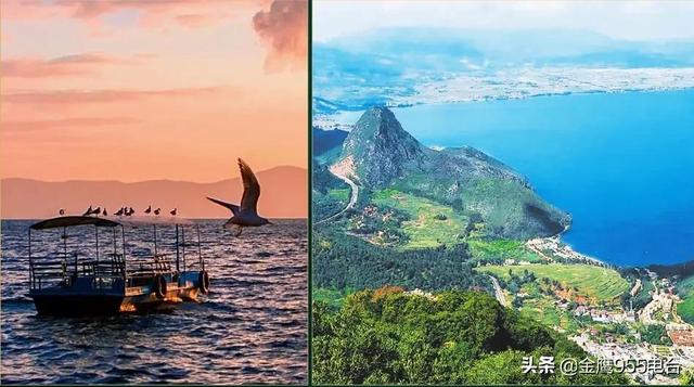 翡翠原石梅子的简单介绍-第6张图片-翡翠网 翡翠原石梅子的简单介绍-第6张图片-翡翠网