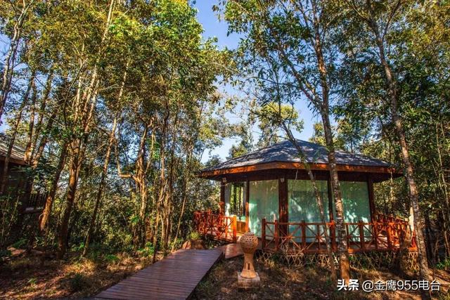 翡翠原石梅子的简单介绍-第11张图片-翡翠网 翡翠原石梅子的简单介绍-第11张图片-翡翠网