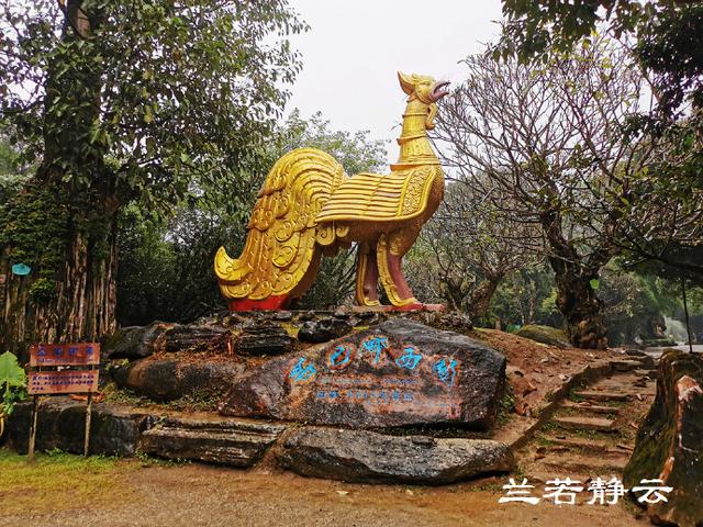 双流玉石翡翠原石的简单介绍-第7张图片-翡翠网 双流玉石翡翠原石的简单介绍-第7张图片-翡翠网