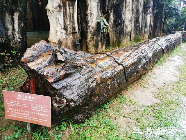 双流玉石翡翠原石的简单介绍-第8张图片-翡翠网 双流玉石翡翠原石的简单介绍-第8张图片-翡翠网