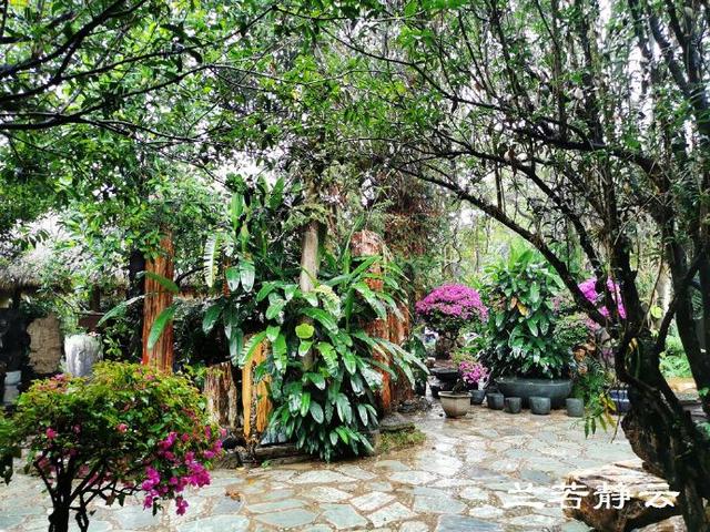 双流玉石翡翠原石的简单介绍-第19张图片-翡翠网 双流玉石翡翠原石的简单介绍-第19张图片-翡翠网