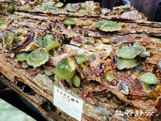 双流玉石翡翠原石的简单介绍-第21张图片-翡翠网 双流玉石翡翠原石的简单介绍-第21张图片-翡翠网