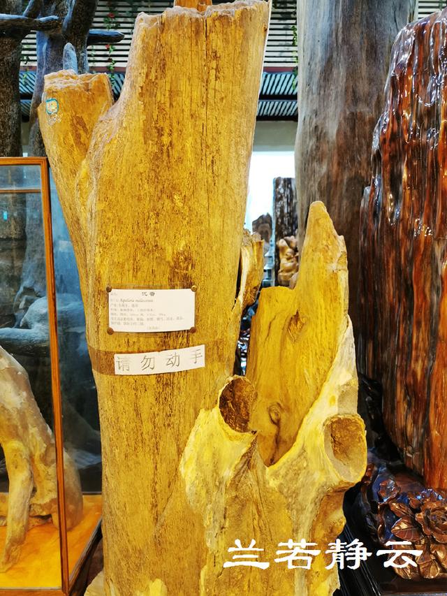 双流玉石翡翠原石的简单介绍-第23张图片-翡翠网 双流玉石翡翠原石的简单介绍-第23张图片-翡翠网