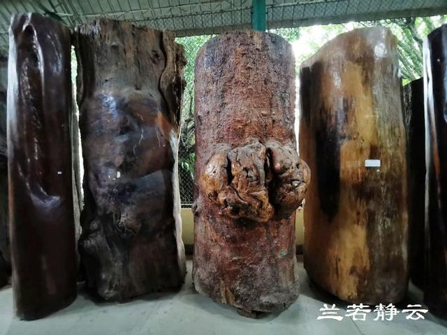 双流玉石翡翠原石的简单介绍-第30张图片-翡翠网 双流玉石翡翠原石的简单介绍-第30张图片-翡翠网