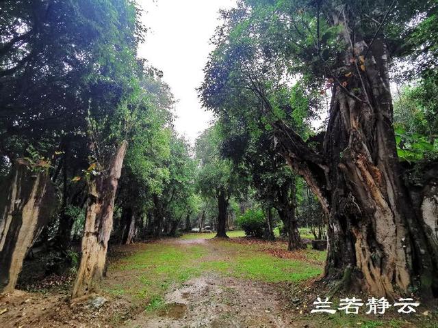 双流玉石翡翠原石的简单介绍-第34张图片-翡翠网 双流玉石翡翠原石的简单介绍-第34张图片-翡翠网