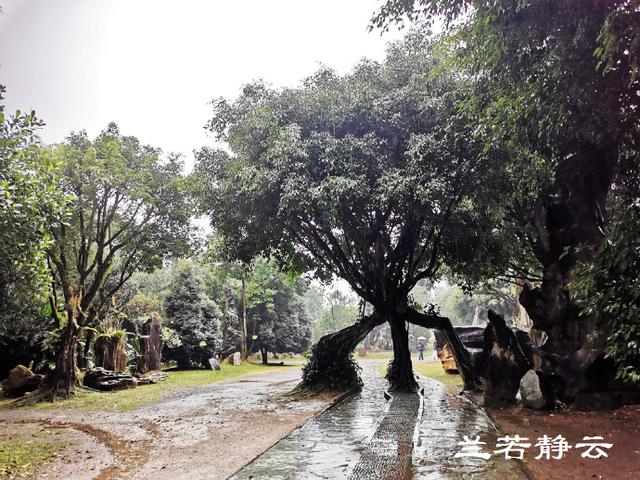 双流玉石翡翠原石的简单介绍-第35张图片-翡翠网 双流玉石翡翠原石的简单介绍-第35张图片-翡翠网