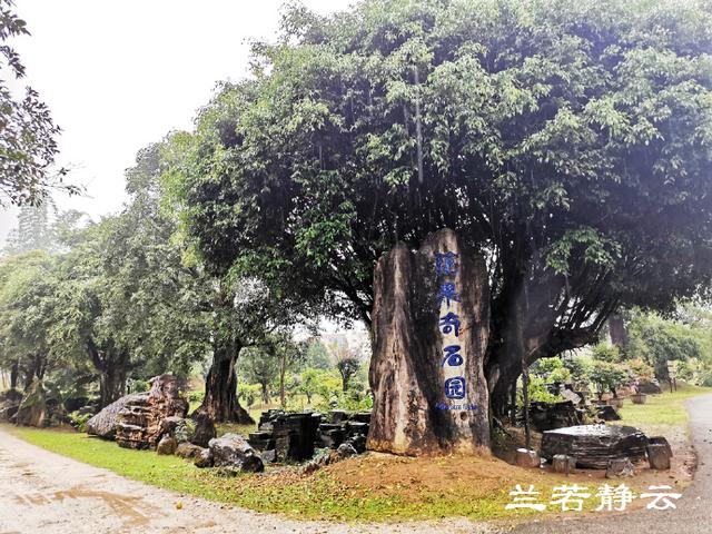 双流玉石翡翠原石的简单介绍-第36张图片-翡翠网 双流玉石翡翠原石的简单介绍-第36张图片-翡翠网