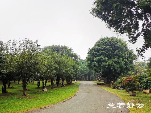 双流玉石翡翠原石的简单介绍-第38张图片-翡翠网 双流玉石翡翠原石的简单介绍-第38张图片-翡翠网