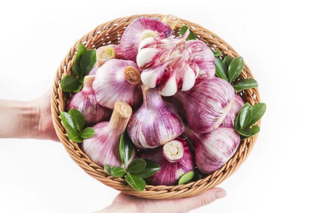 百岁坊翡翠手镯价格,百岁坊s999多少钱-第4张图片-翡翠网 百岁坊翡翠手镯价格,百岁坊s999多少钱-第4张图片-翡翠网