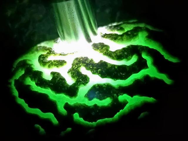 翡翠为什么要选择原石翡翠草绿晴底原石做什么好-第4张图片-翡翠网 翡翠为什么要选择原石翡翠草绿晴底原石做什么好-第4张图片-翡翠网