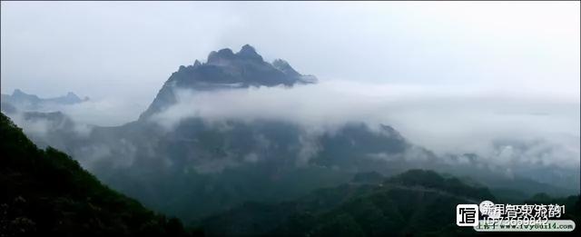 北流紫罗兰翡翠手镯价格,紫罗兰手镯价格-第13张图片-翡翠网 北流紫罗兰翡翠手镯价格,紫罗兰手镯价格-第13张图片-翡翠网