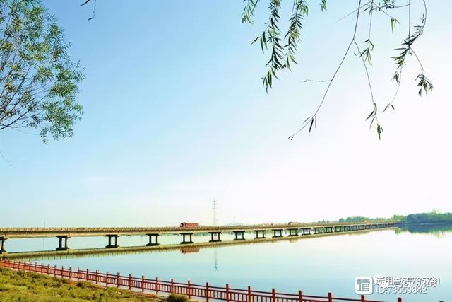 北流紫罗兰翡翠手镯价格,紫罗兰手镯价格-第16张图片-翡翠网 北流紫罗兰翡翠手镯价格,紫罗兰手镯价格-第16张图片-翡翠网