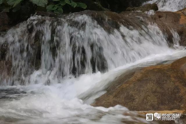 北流紫罗兰翡翠手镯价格,紫罗兰手镯价格-第19张图片-翡翠网 北流紫罗兰翡翠手镯价格,紫罗兰手镯价格-第19张图片-翡翠网